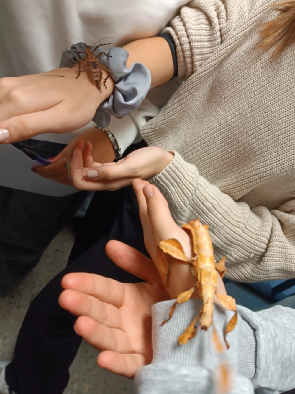 laboratorio entomologia