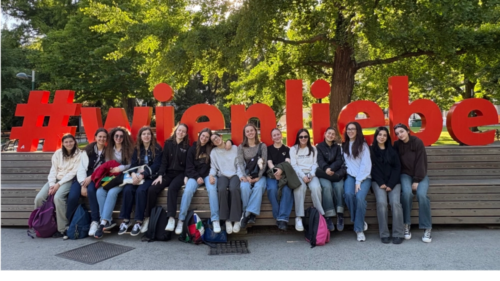 Wien Aktion pic 2024 2025