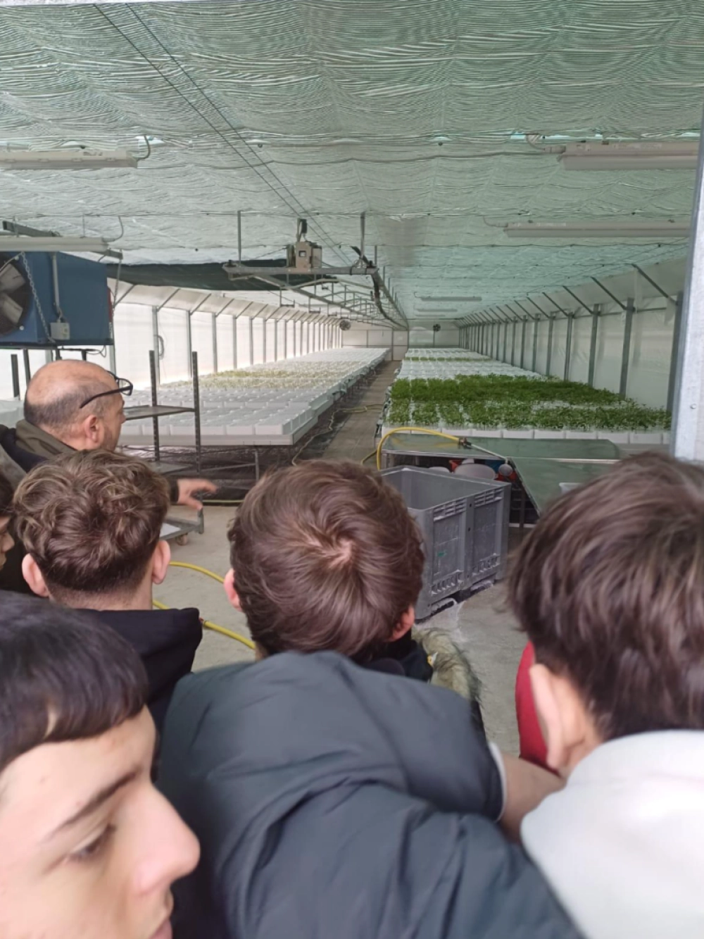 visita urbani umbraflor