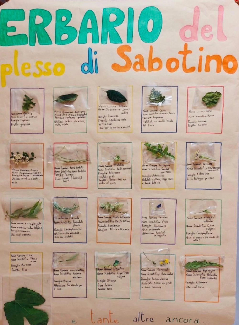 Erbario del Plesso di Borgo Sabotino