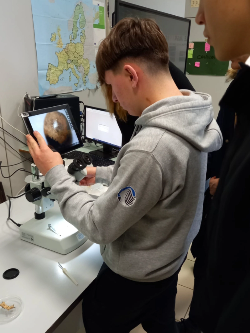 laboratorio entomologia