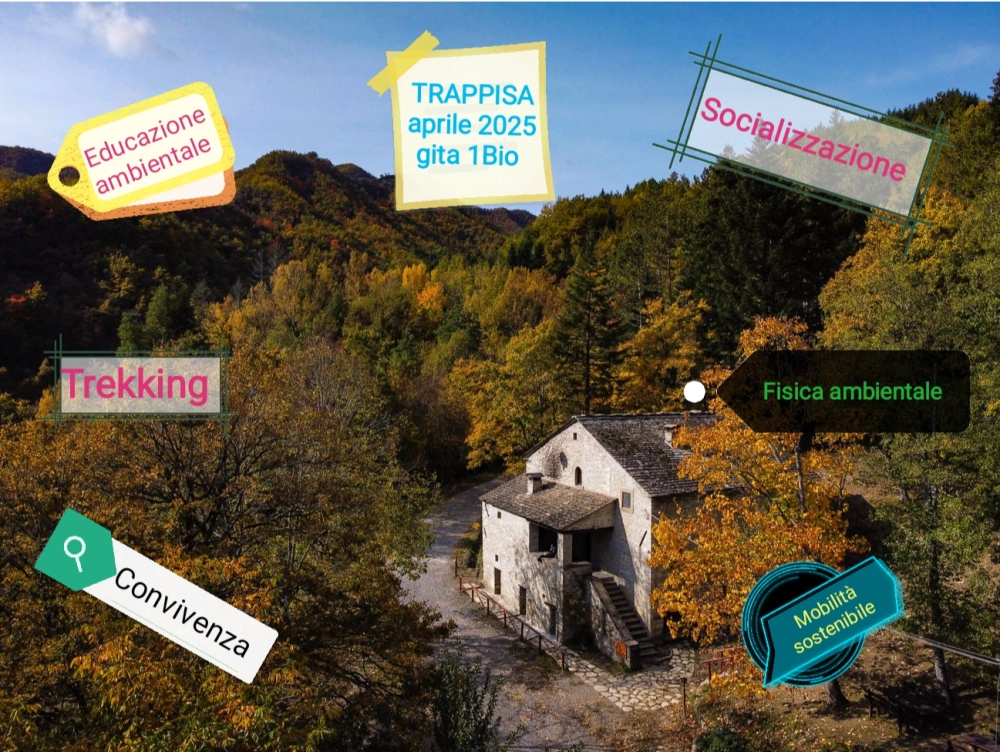 Rifugio Escursionistico Trappisa di Sotto