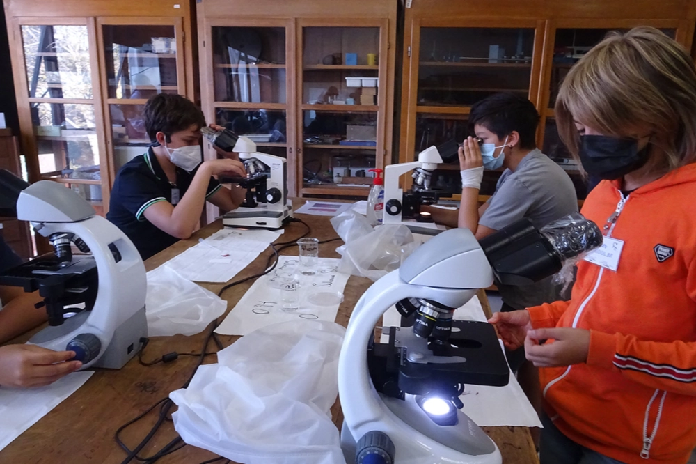 Laboratorio Scienze 5