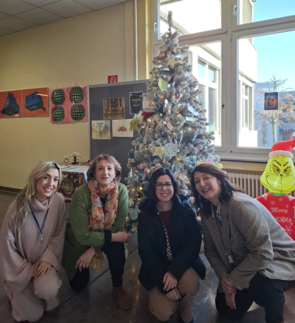 foto viaggio in Austria Erasmus plus