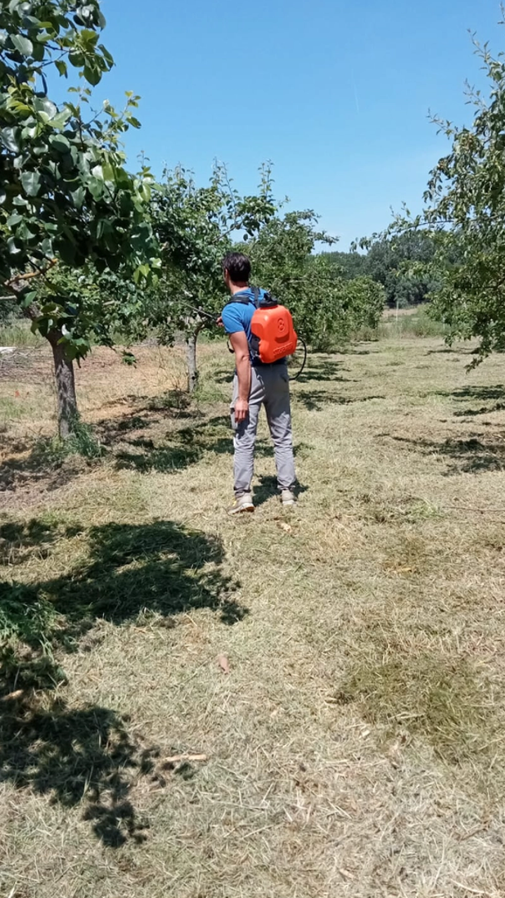 attività agricole