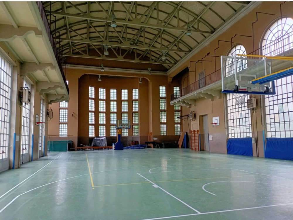 palestra