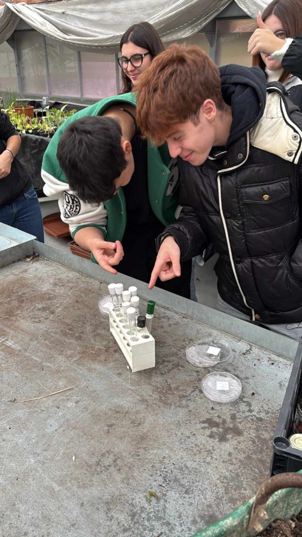 esperimenti di crescita e riconoscimento