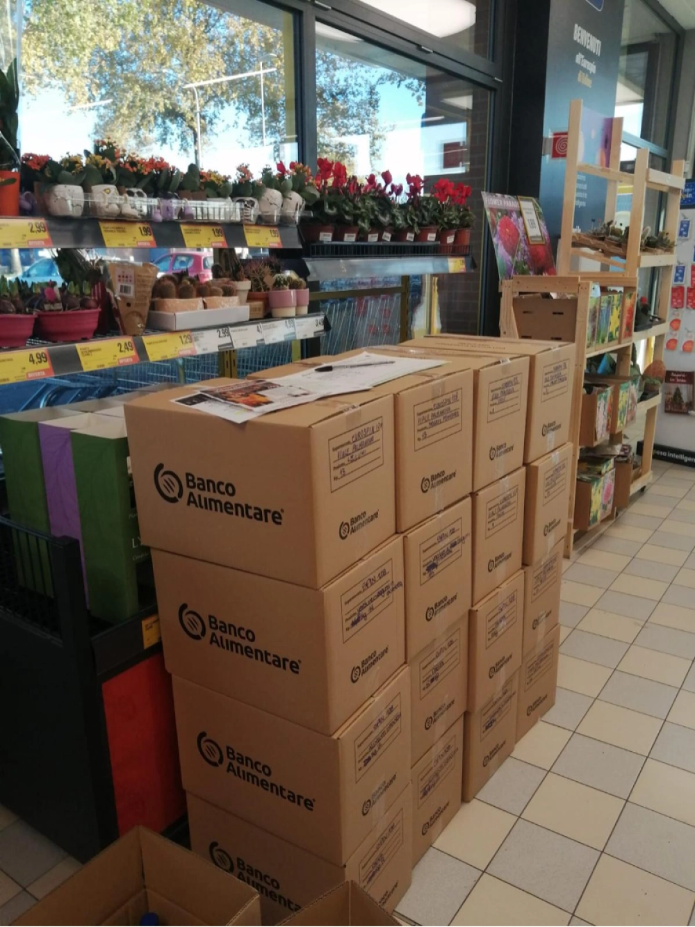 Colletta alimentare 2024 4