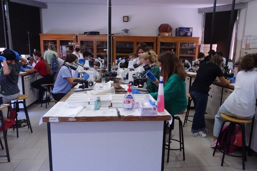 Laboratorio Scienze 4