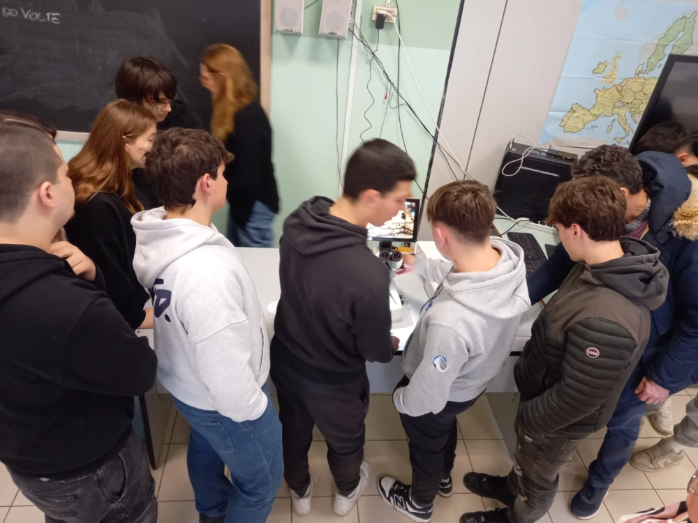 laboratorio entomologia