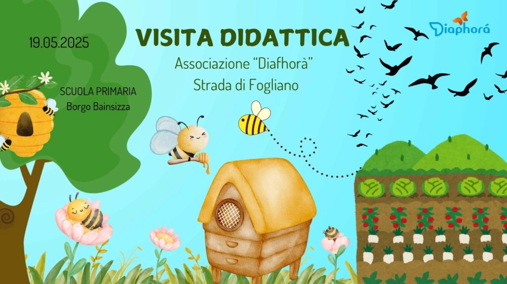 Visita didattica - Associazione “Diaphorà”