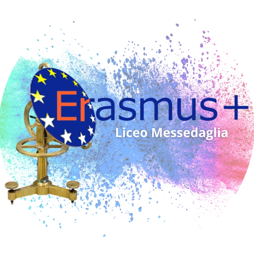logoErasmusM