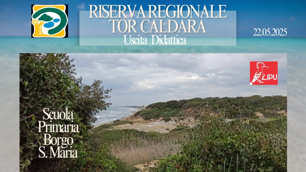 Uscita Didattica Riserva Regionale Tor Caldara