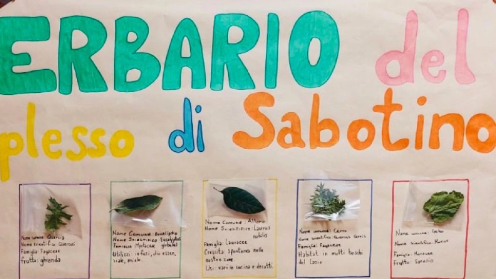 Erbario del Plesso di Borgo Sabotino