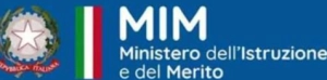 MIM