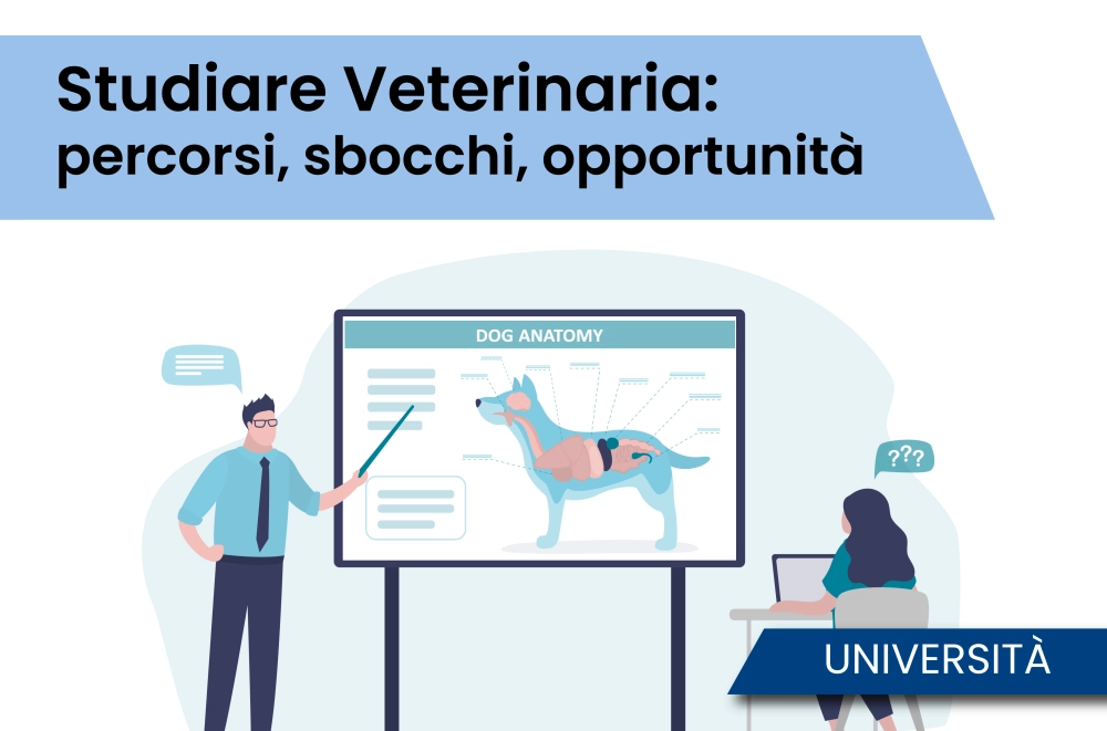 Studiare Veterinaria: percorsi, sbocchi, opportunità