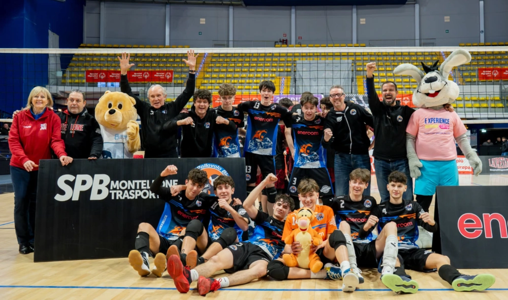 Squadra Bear Wool Volley