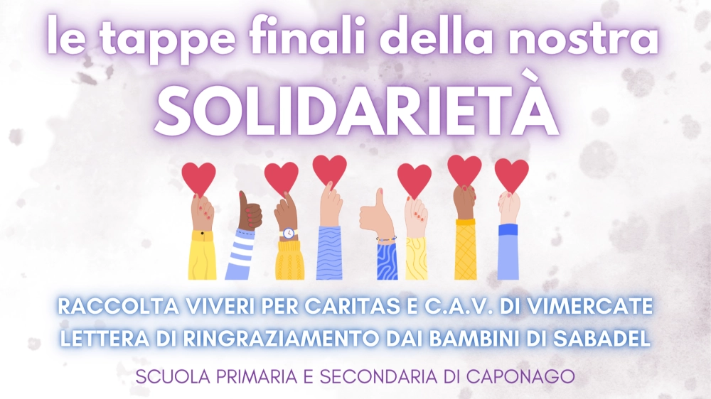 solidarietà finale