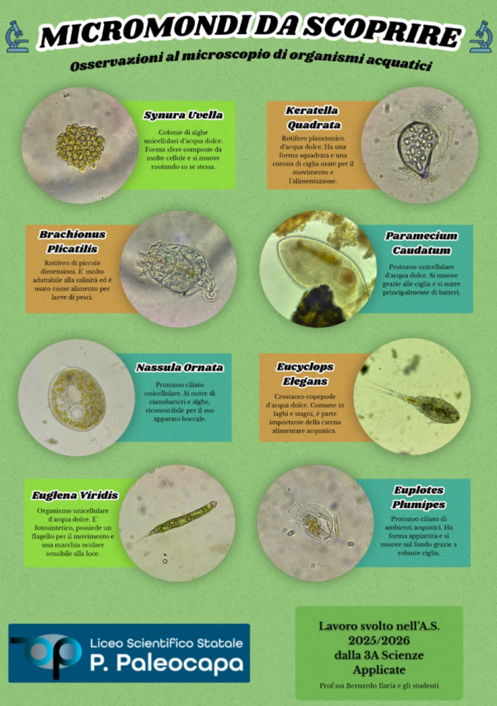 Micromondi da scoprire - Scienze naturali