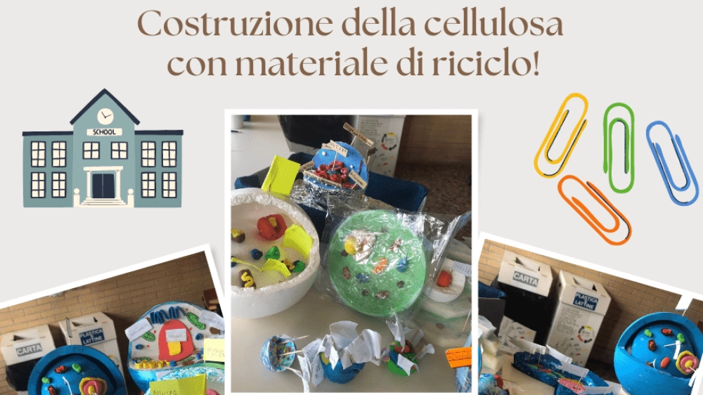 Cellulosa con materiale di riciclo