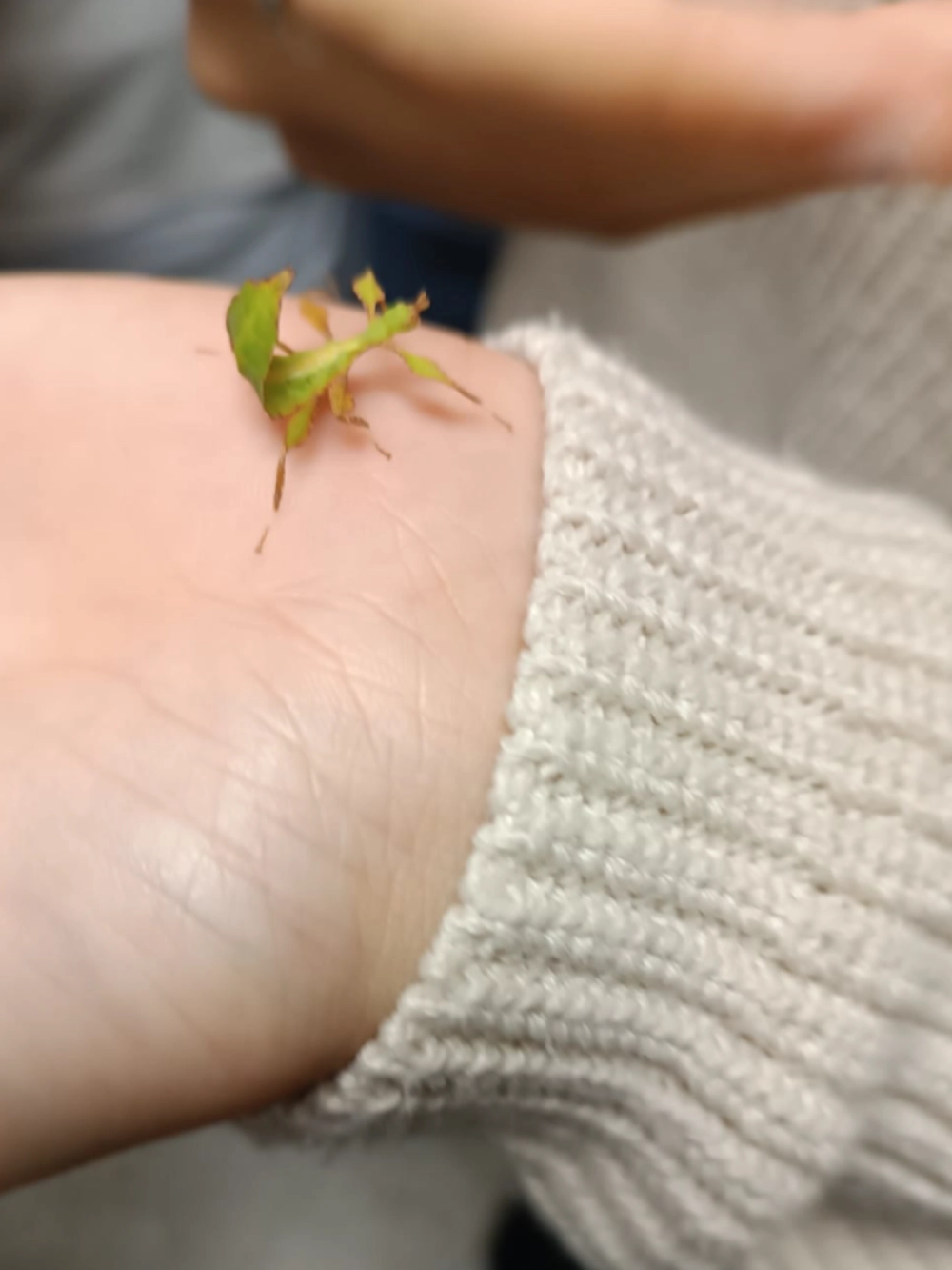 laboratorio entomologia