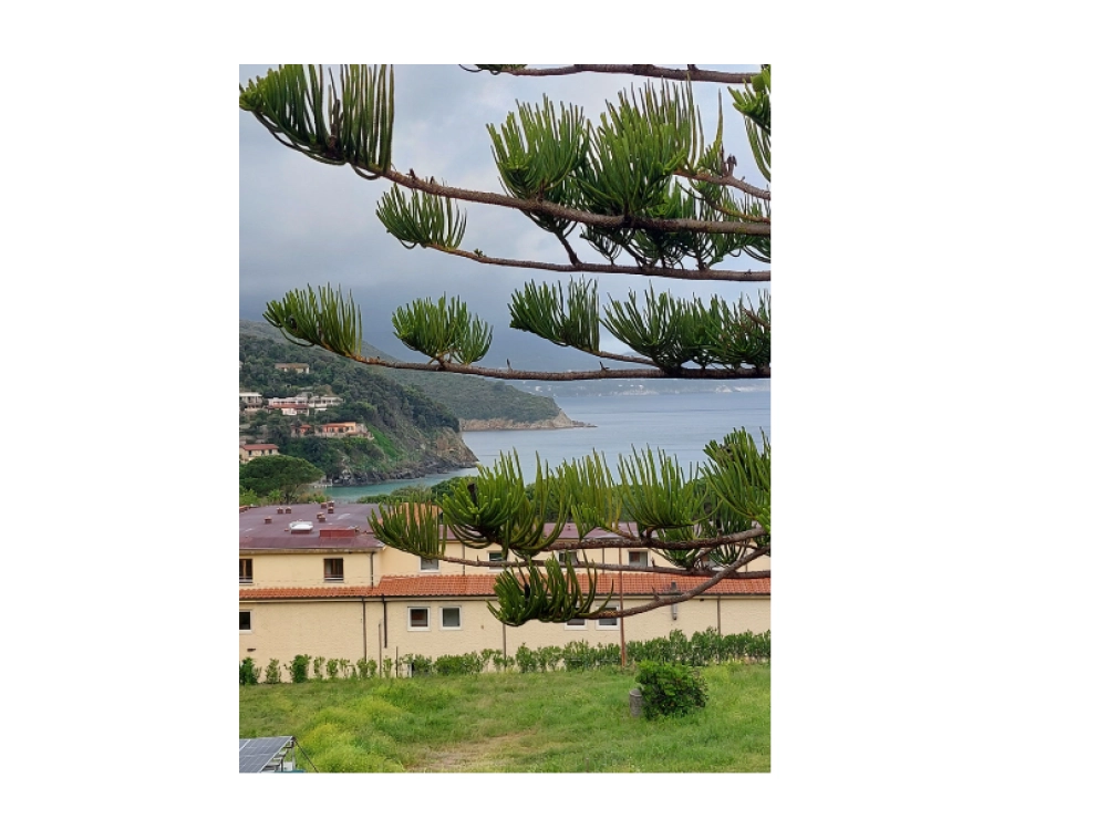Elba3