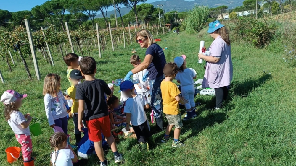 Fattoria