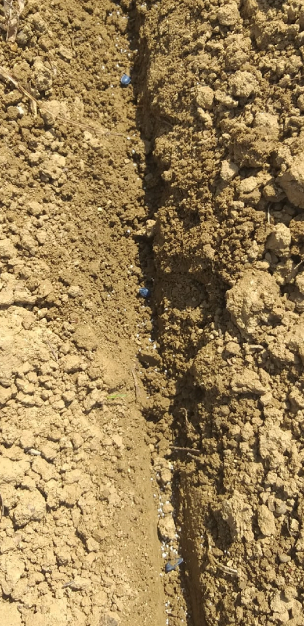 attività agricole