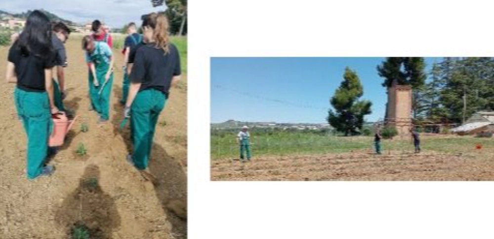 immagine corso operatori agricoli