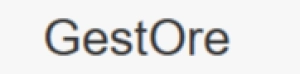 gestore