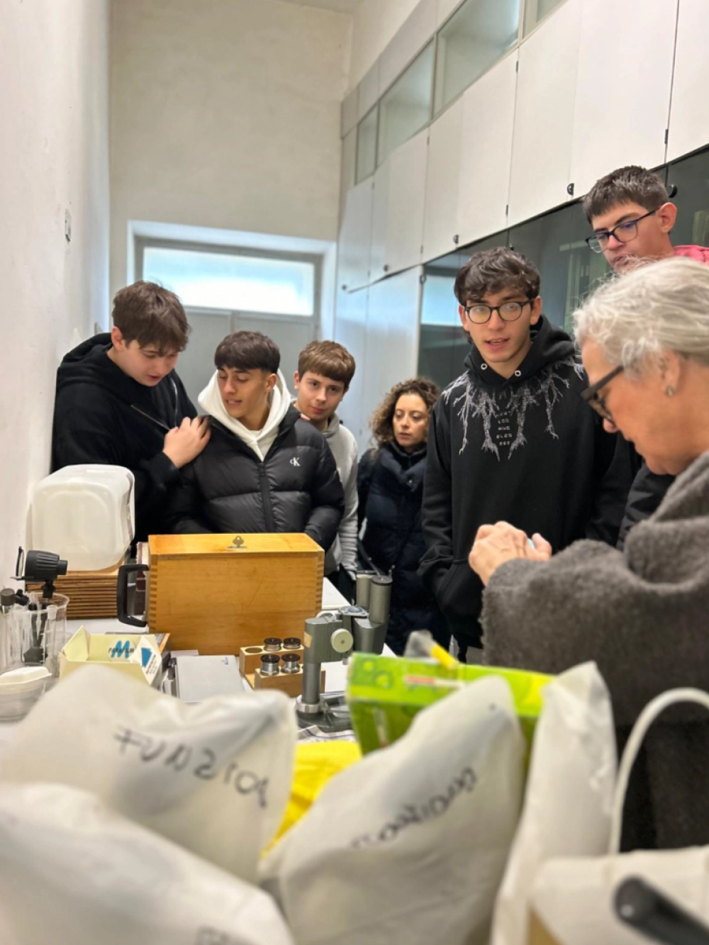 laboratorio entomologia