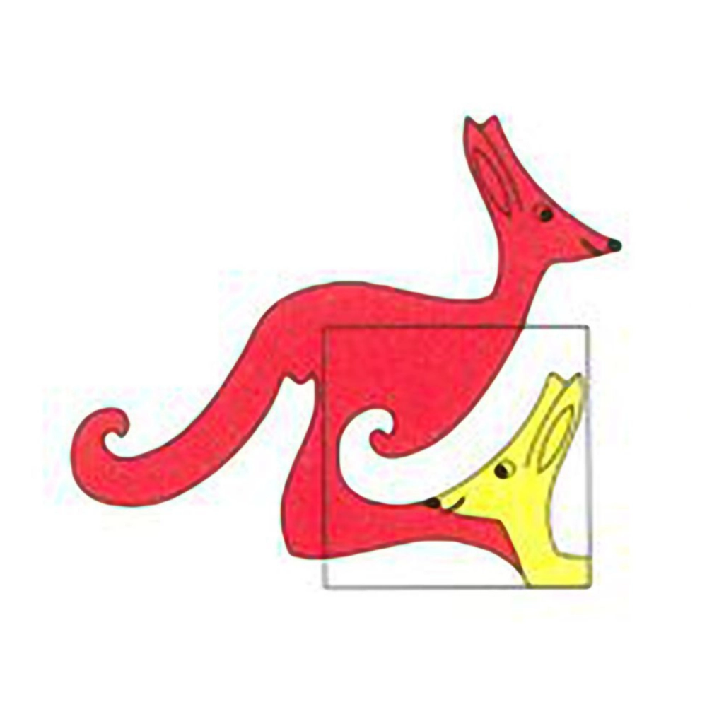 kangourou