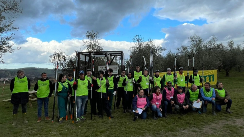 gara potatura olivi 2024