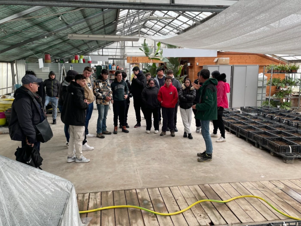 visita urbani umbraflor