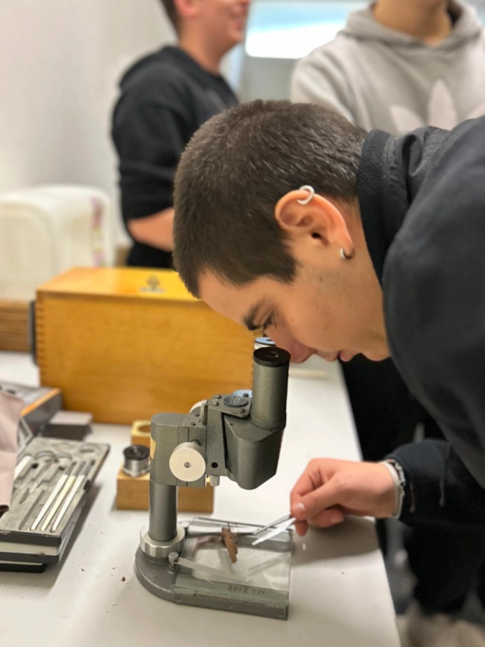 laboratorio entomologia