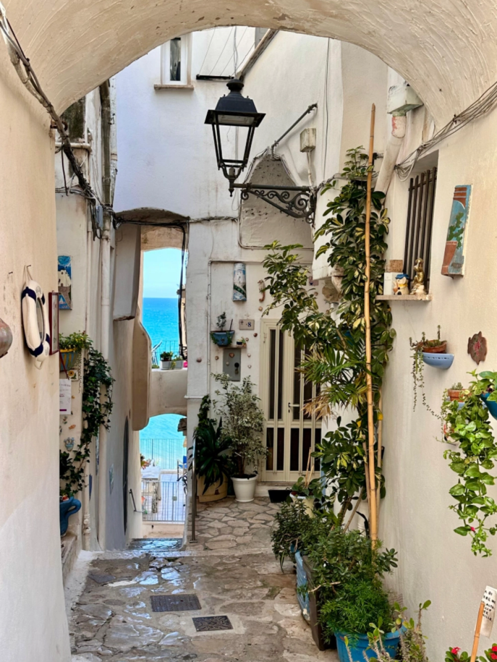 viaggio istruzione gaeta