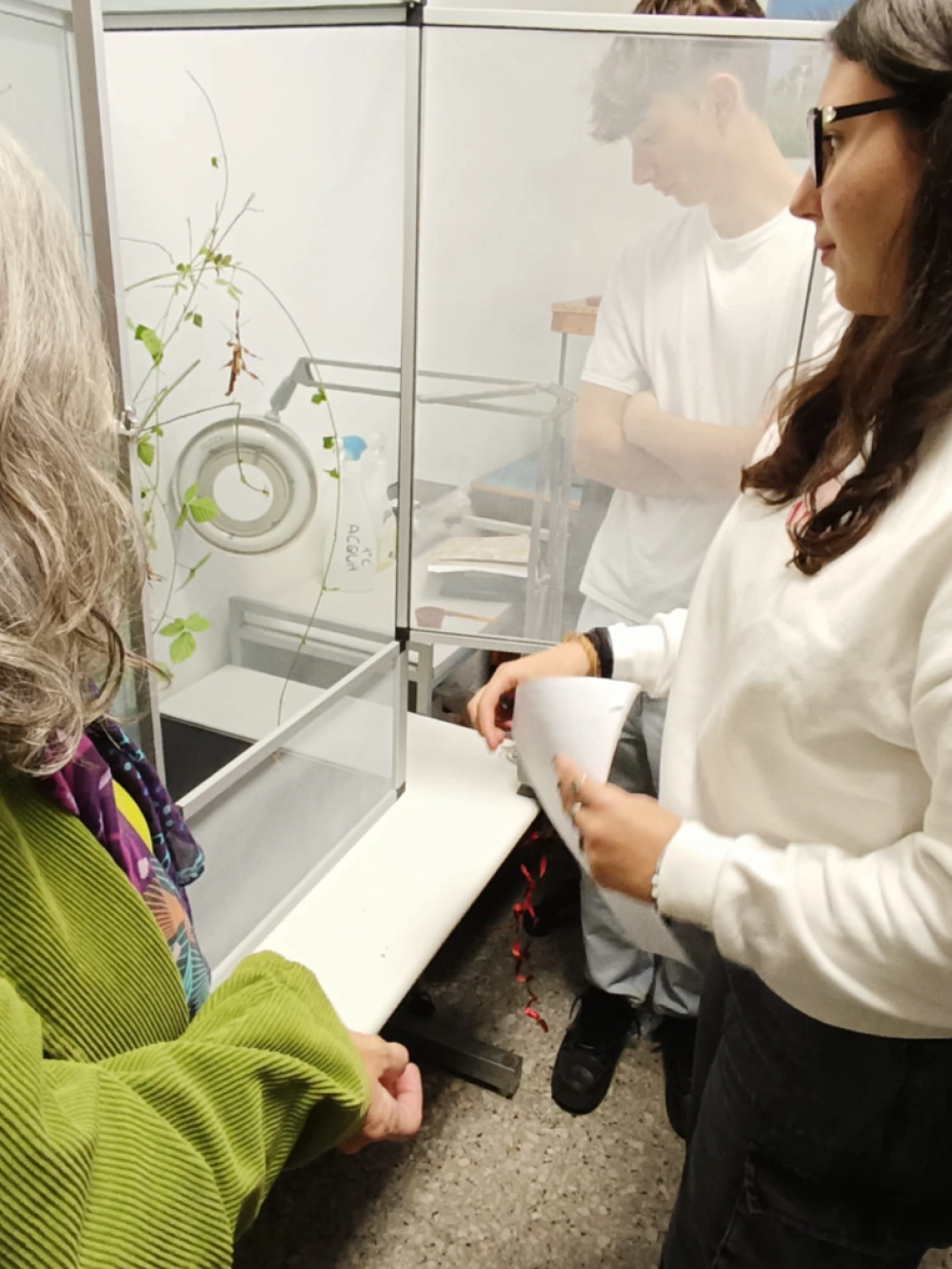 laboratorio entomologia