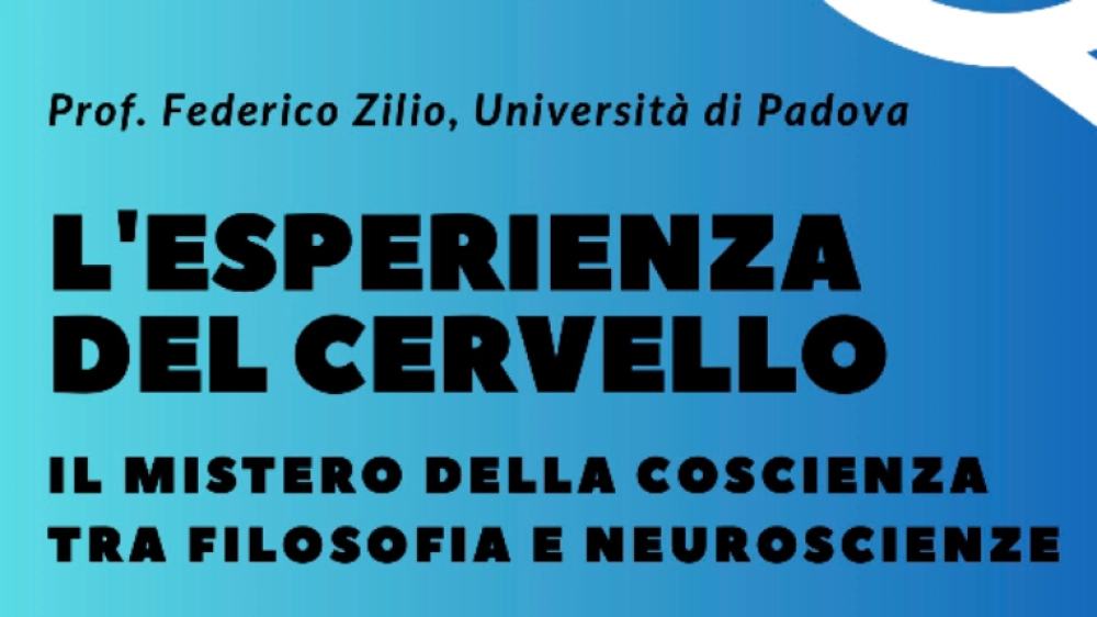 L'esperienza del cervello - locandina