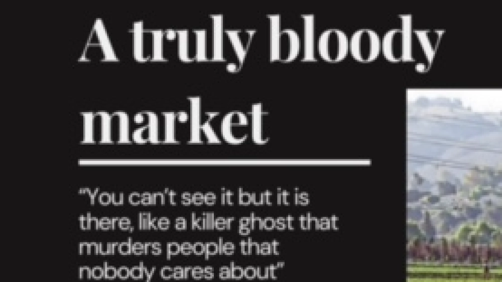 Omizzolo Conferenza ENG 2