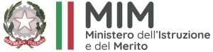 MIM