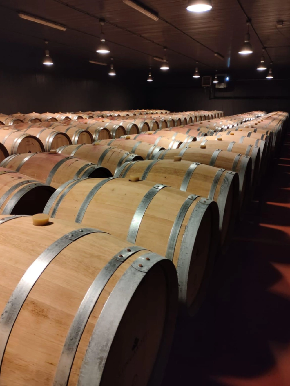 cantina