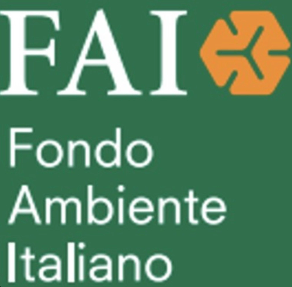 FAI