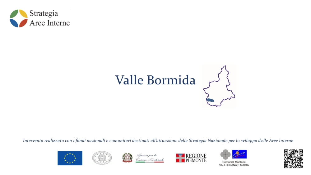 STRATEGIA AREE INTERNE VALLE BORMIDA