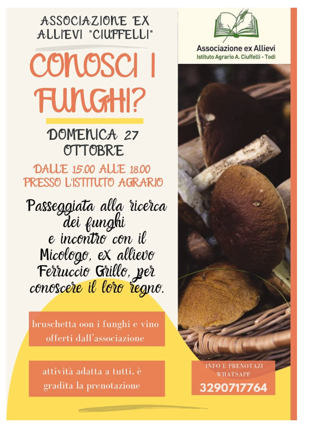 passeggiata funghi