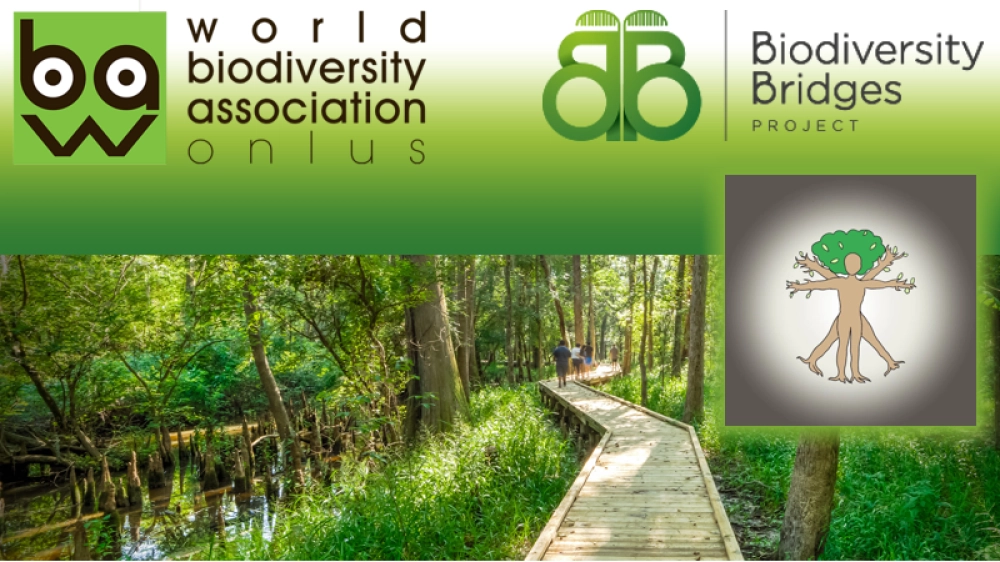 Biodiversity Bridge