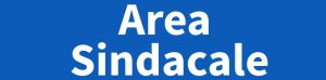 widget area sindacale