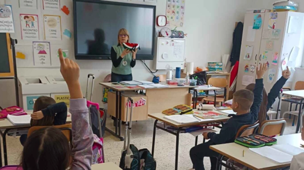 Scuola primaria - voto nome della mascotte