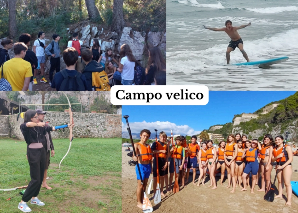 c velico brochure