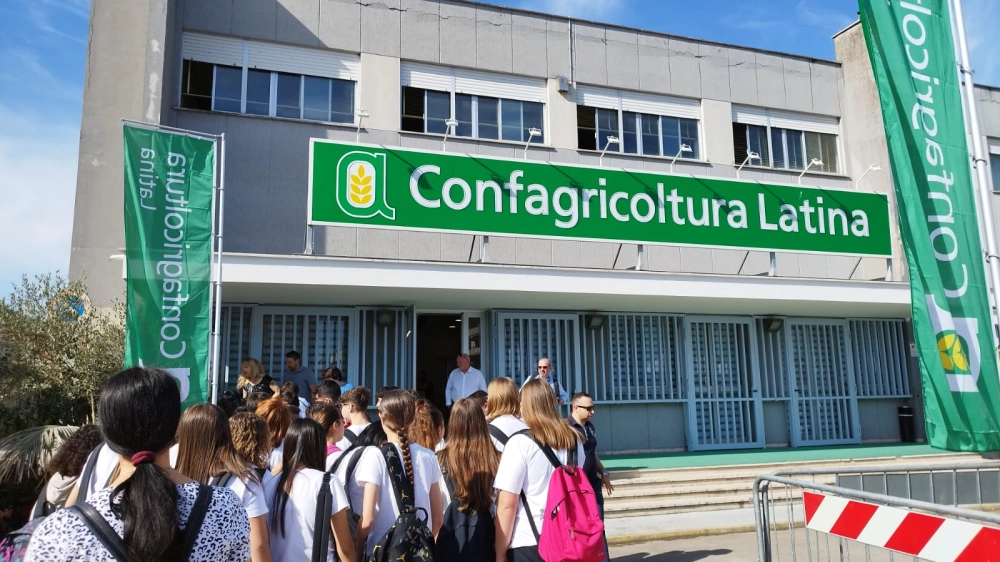 Confa1