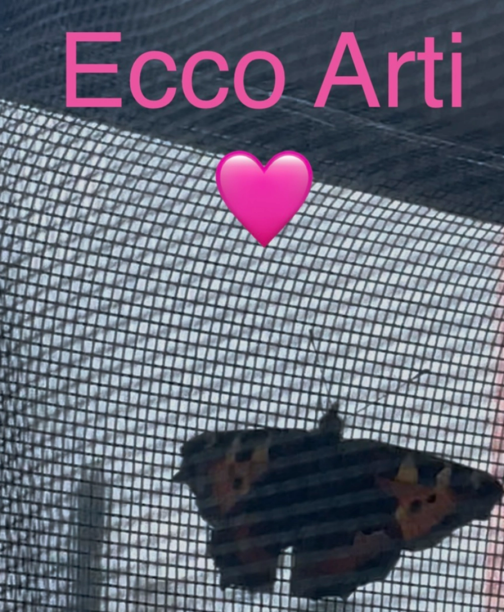 Arti